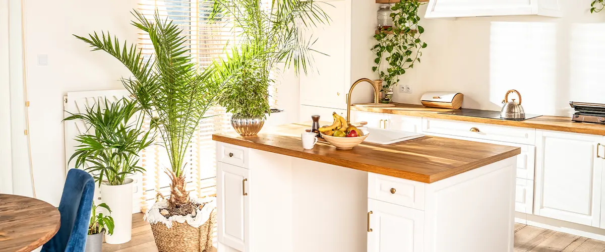butcher block countertops with plants in a white kitchen