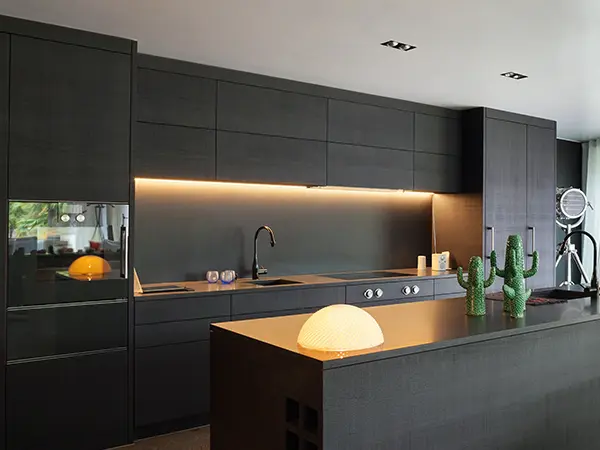 A modern kitchen with black cabinets