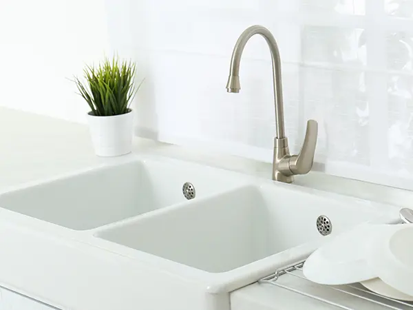 White sink with a silver faucet and a plant
